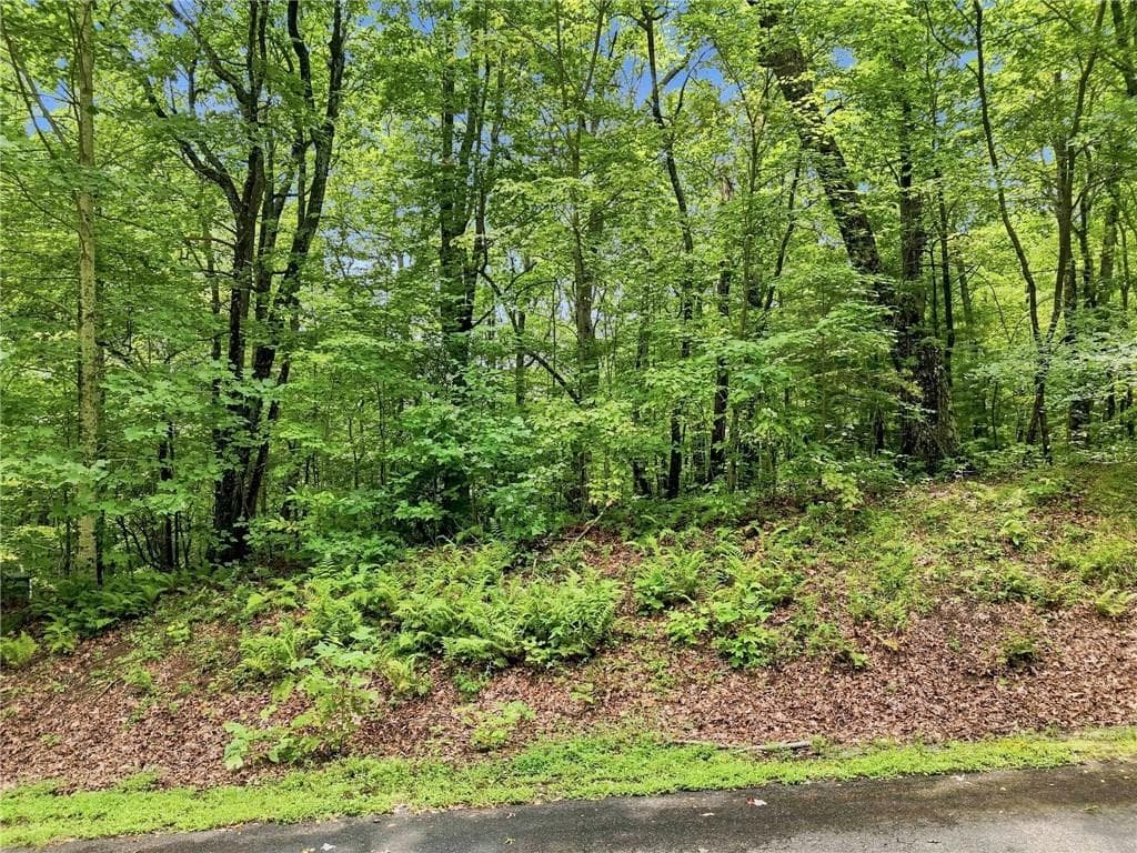single family residence for sale at Lot197 St Andrews Way, Ellijay, GA 30536 — photo 6