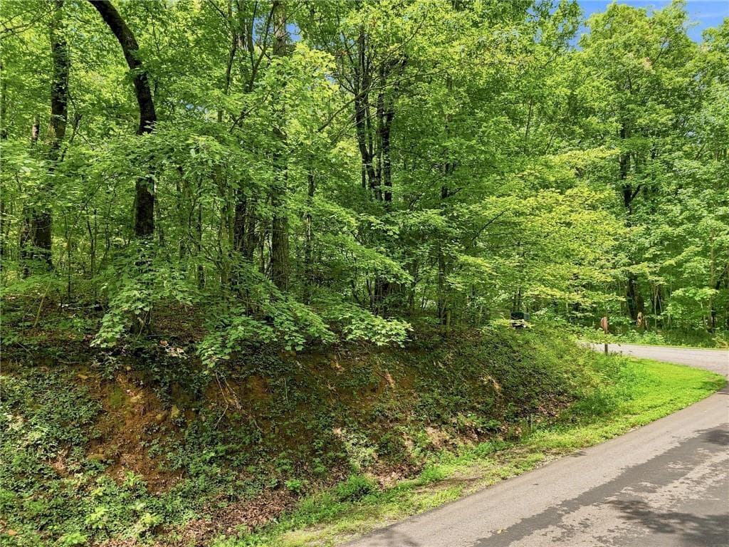single family residence for sale at Lot197 St Andrews Way, Ellijay, GA 30536 — photo 9