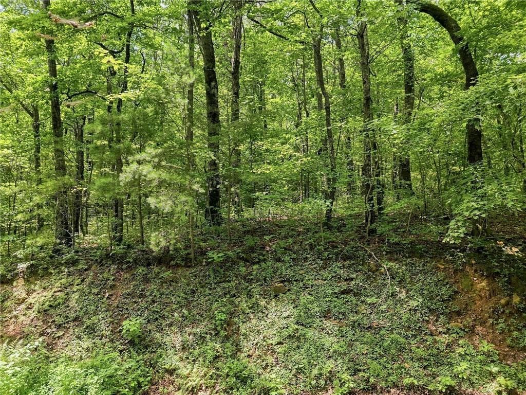 single family residence for sale at Lot197 St Andrews Way, Ellijay, GA 30536 — photo 10