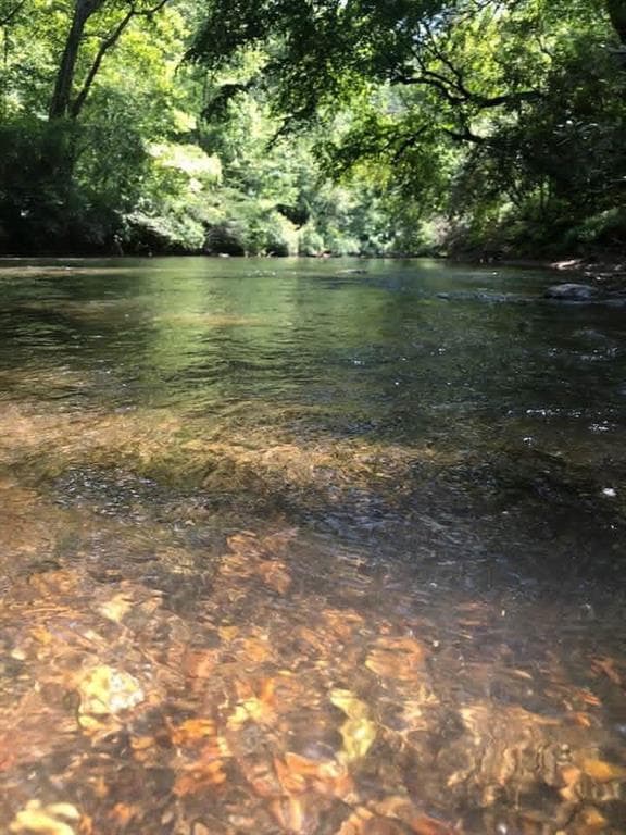 unimproved land for sale at 0 Hicks Ford Road, Ellijay, GA 30540 — photo 2