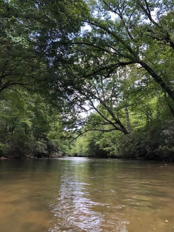 unimproved land for sale at 0 Hicks Ford Road, Ellijay, GA 30540 — photo 6