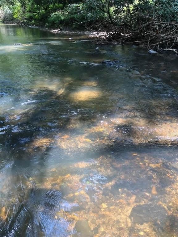 unimproved land for sale at 0 Hicks Ford Road, Ellijay, GA 30540 — photo 9