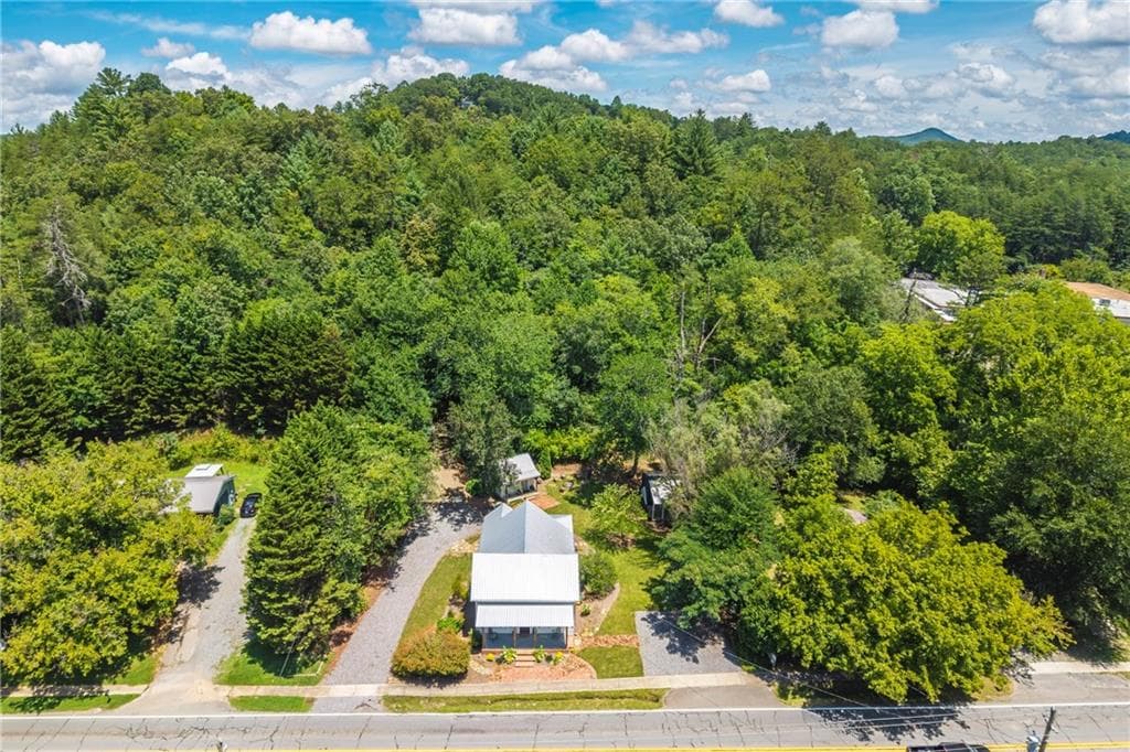 2 bedroom, 2 bathroom, 1,487 sq ft single family residence for sale at 8679 Lakewood Highway, Mineral Bluff, GA 30559 — photo 7