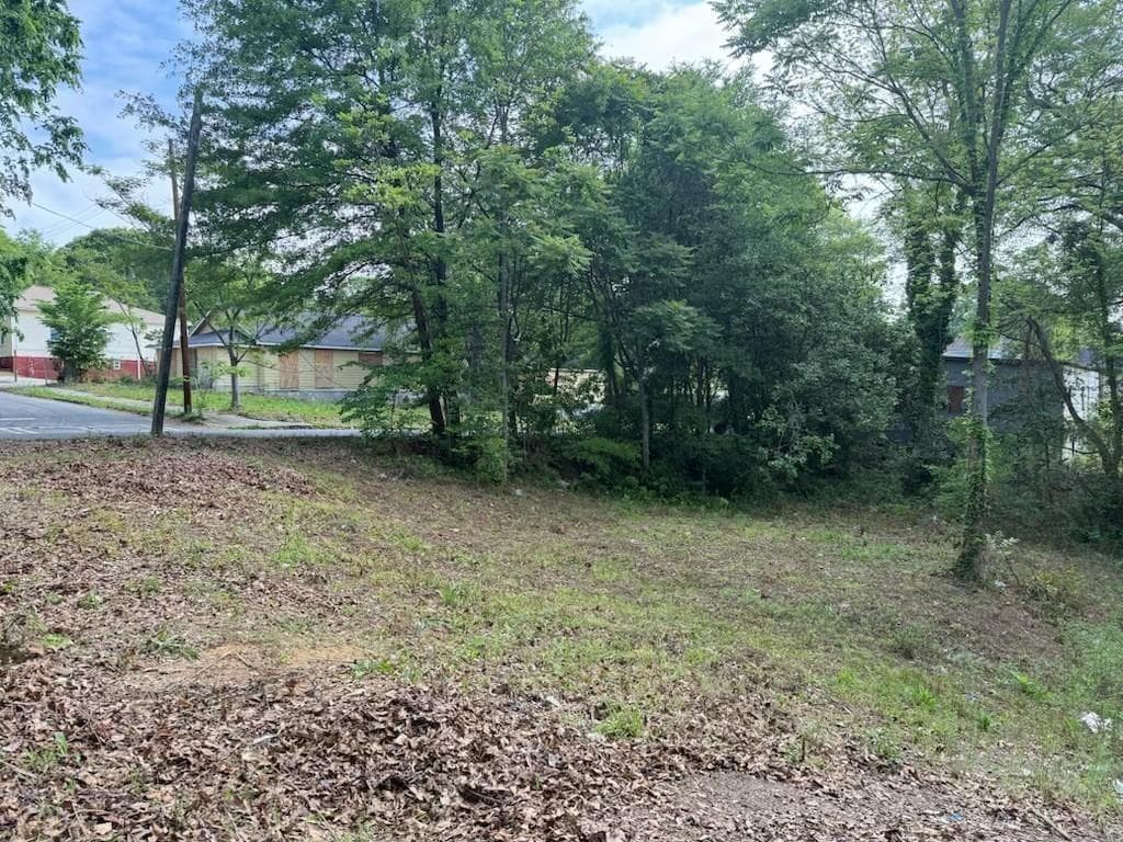 unimproved land for sale at 459 Paines Avenue, Atlanta, GA 30318 — photo 8
