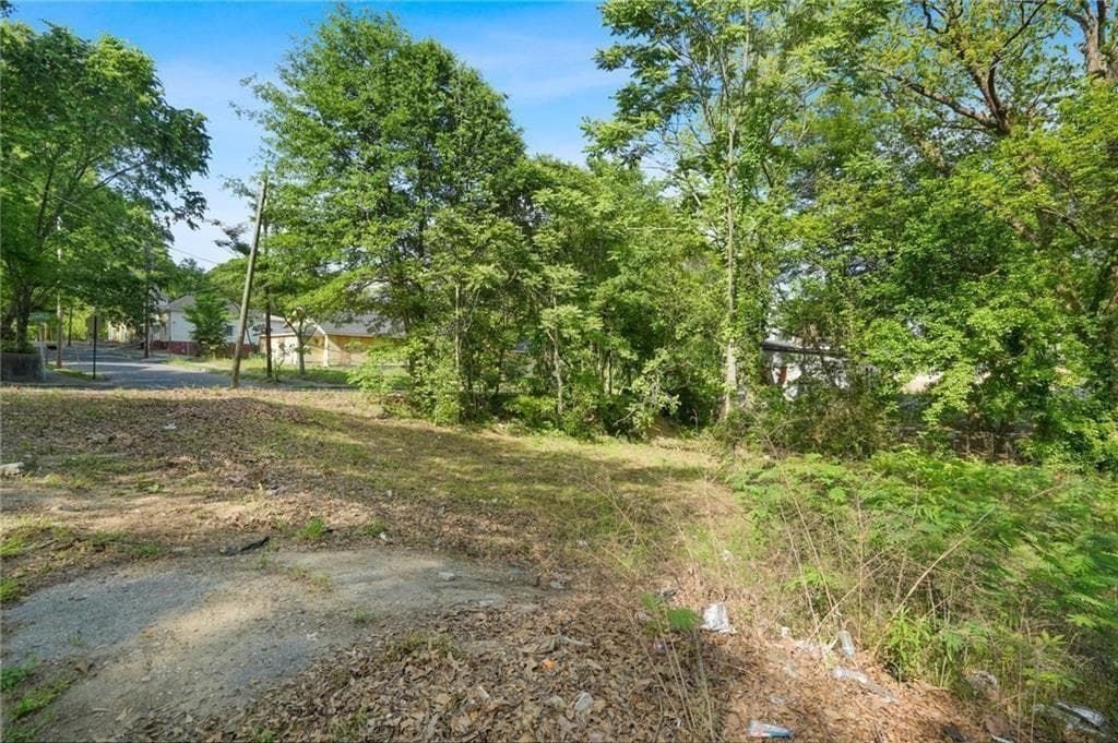 unimproved land for sale at 459 Paines Avenue, Atlanta, GA 30318 — photo 9
