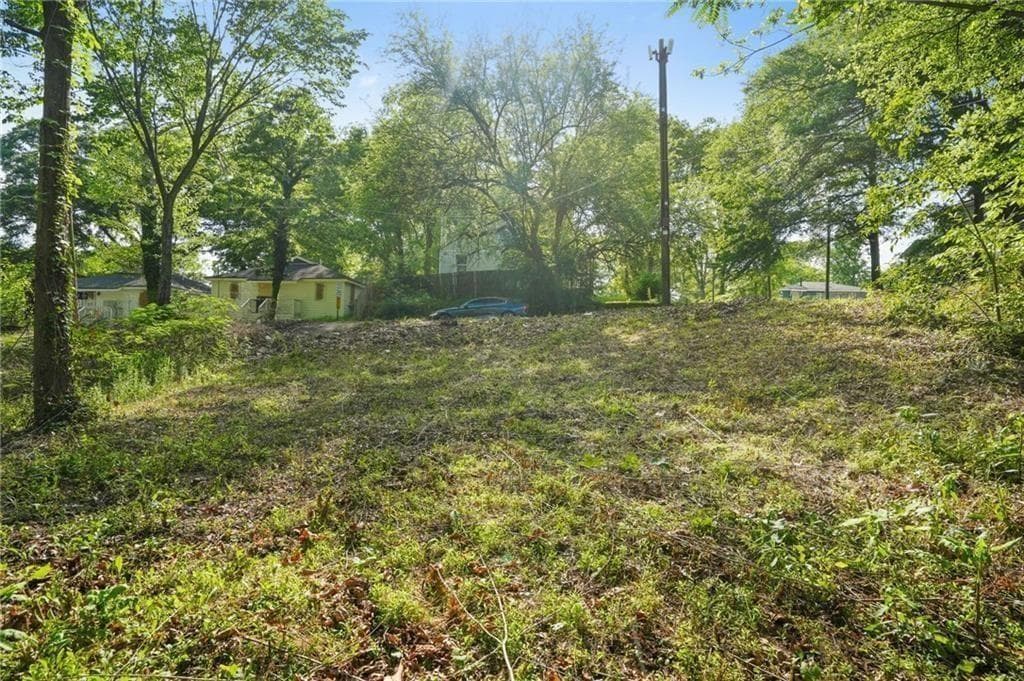 unimproved land for sale at 459 Paines Avenue, Atlanta, GA 30318 — photo 10