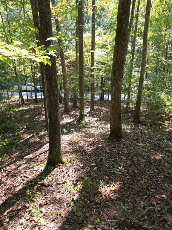 single family residence for sale at LOT 6 Heatherwood Way, Talking Rock, GA 30175 — photo 3