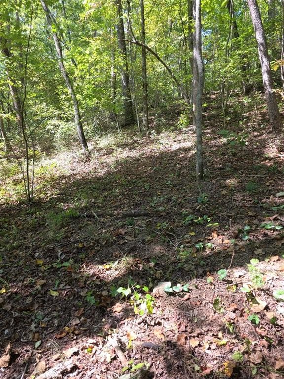 single family residence for sale at LOT 6 Heatherwood Way, Talking Rock, GA 30175 — photo 4