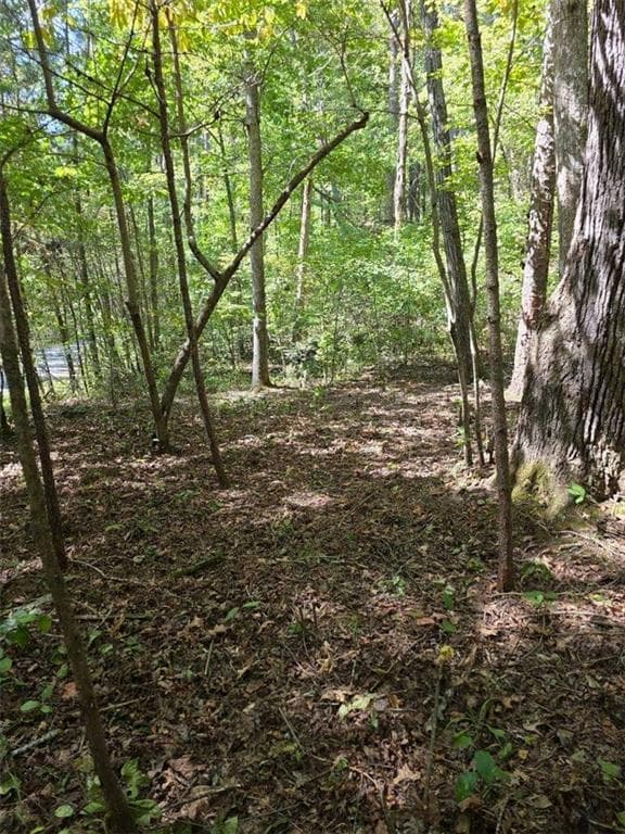 single family residence for sale at LOT 6 Heatherwood Way, Talking Rock, GA 30175 — photo 5