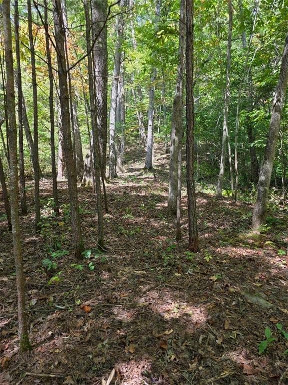 single family residence for sale at LOT 6 Heatherwood Way, Talking Rock, GA 30175 — photo 6