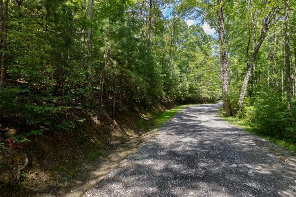 single family residence for sale at LOT 6 Heatherwood Way, Talking Rock, GA 30175 — photo 10
