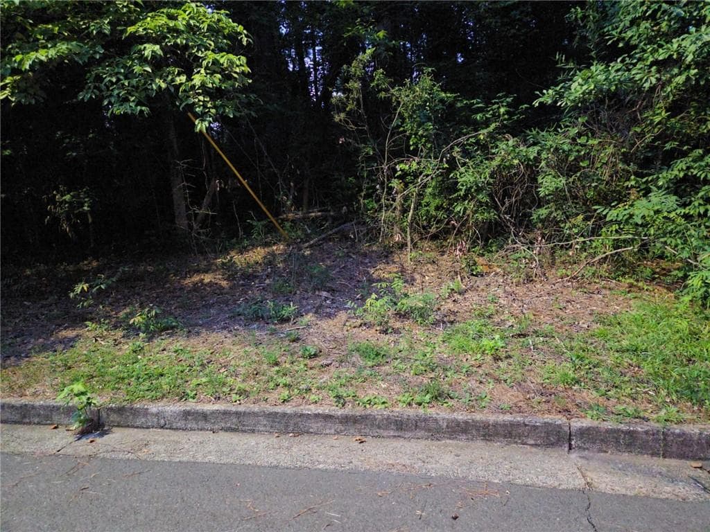 single family residence for sale at 0 Lake Esther Drive, Fairburn, GA 30213 — photo 1 of 1