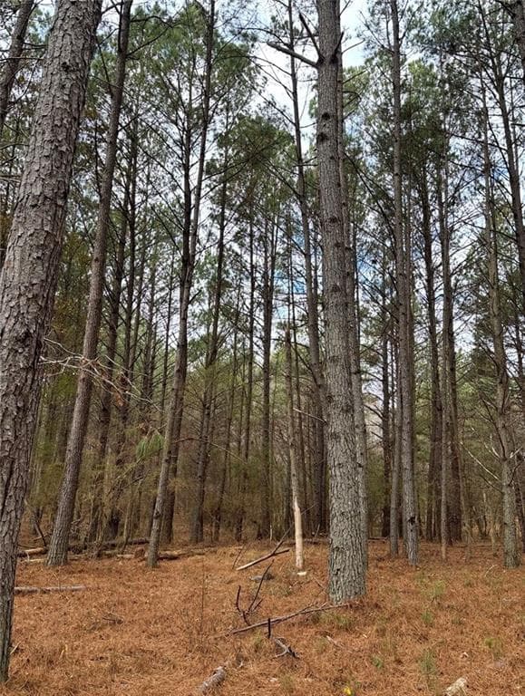 unimproved land for sale at 556 Benton Road, Covington, GA 30014 — photo 1 of 1
