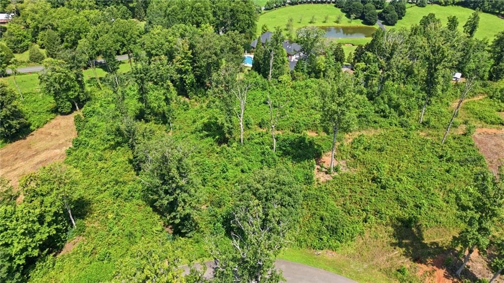 unimproved land for sale at 17 Mystic Drive, Ellijay, GA 30540 — photo 6