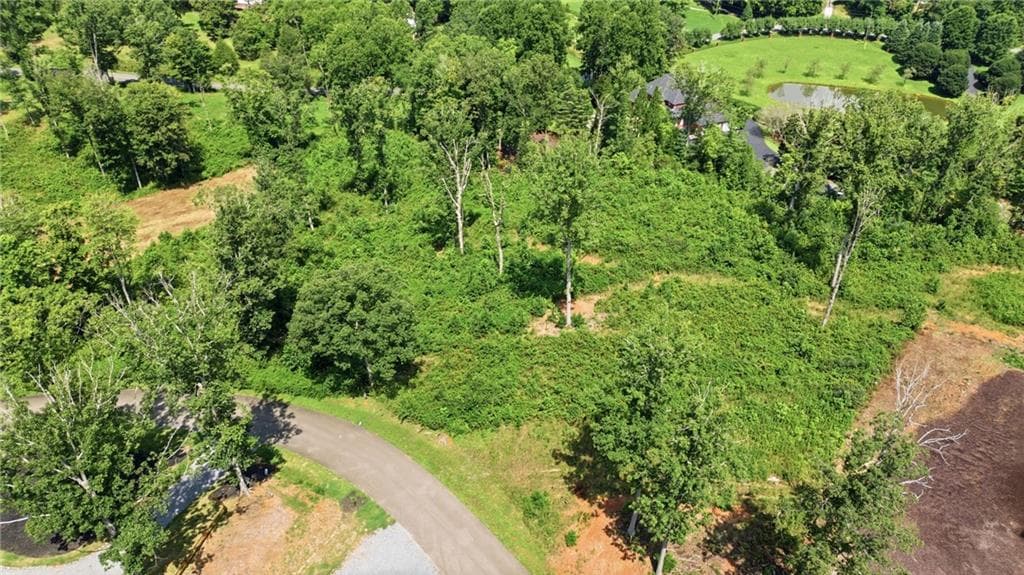 unimproved land for sale at 17 Mystic Drive, Ellijay, GA 30540 — photo 7