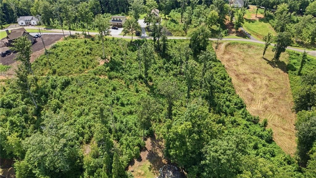 unimproved land for sale at 17 Mystic Drive, Ellijay, GA 30540 — photo 9