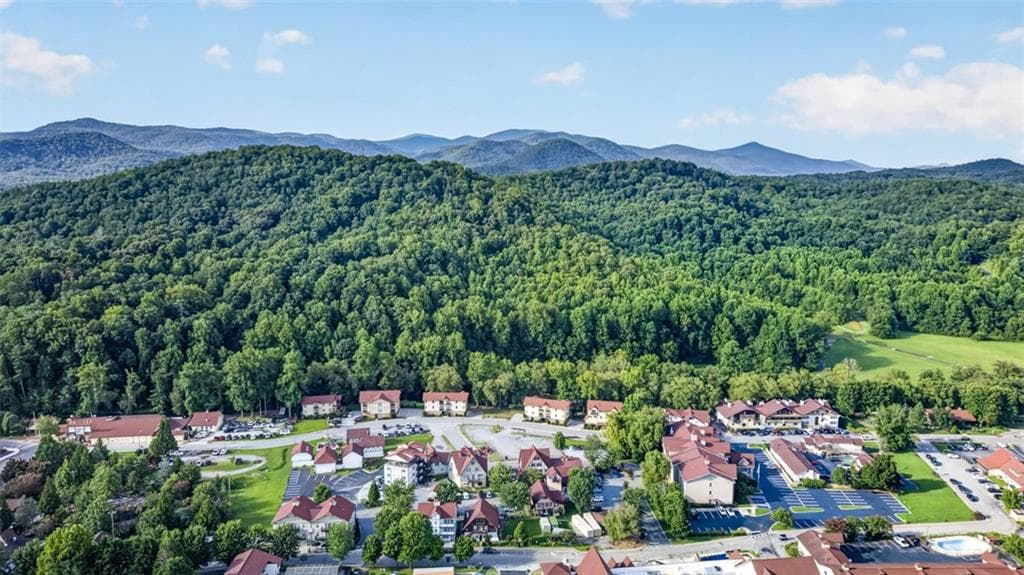 other for sale at 0 Narr Weg, Helen, GA 30545 — photo 9
