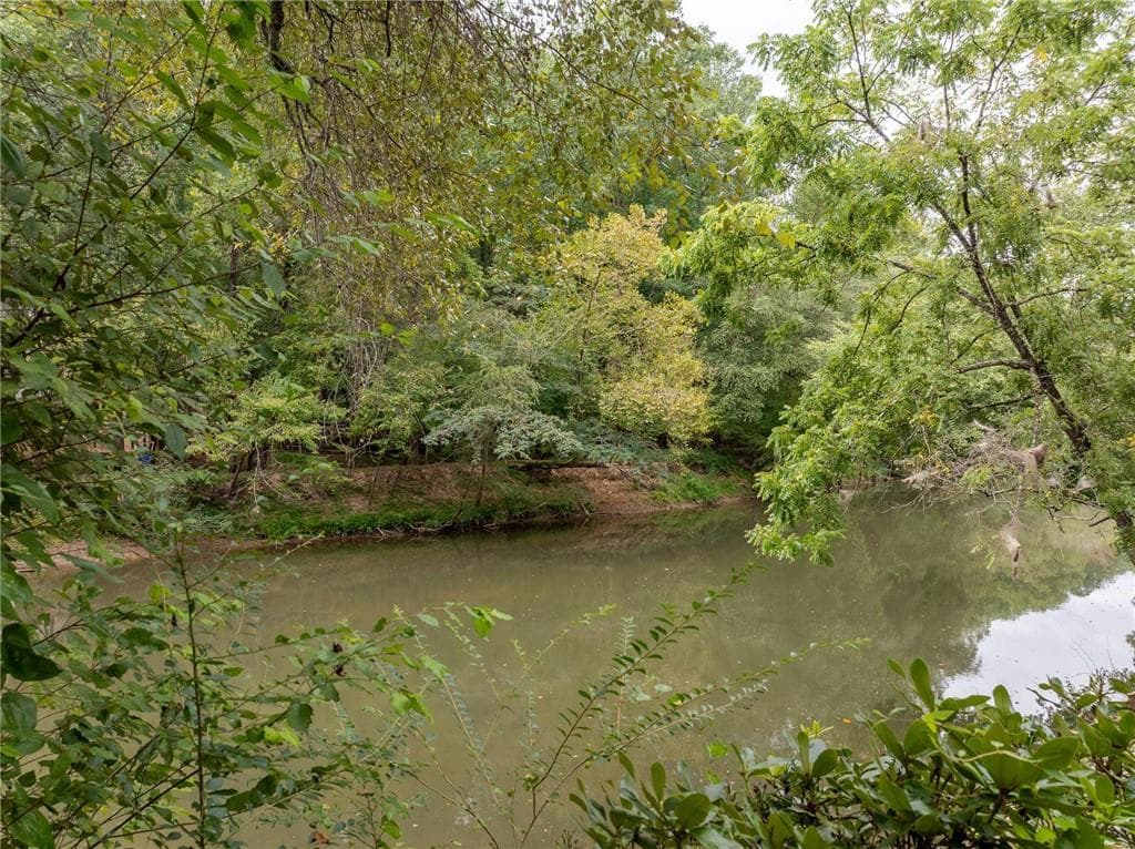 1 bedroom, 2 bathroom, 150 sq ft single family residence for sale at 45 First Street, Ellijay, GA 30540 — photo 9