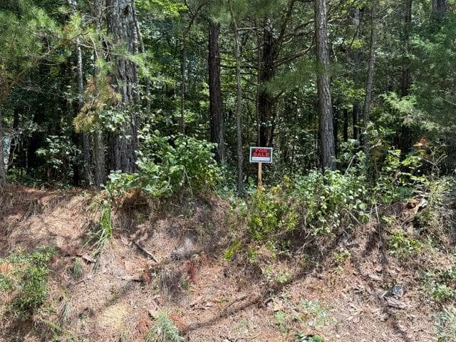 unimproved land for sale at 0 Iron Hill Road Lot 1, Taylorsville, GA 30178 — photo 1 of 2