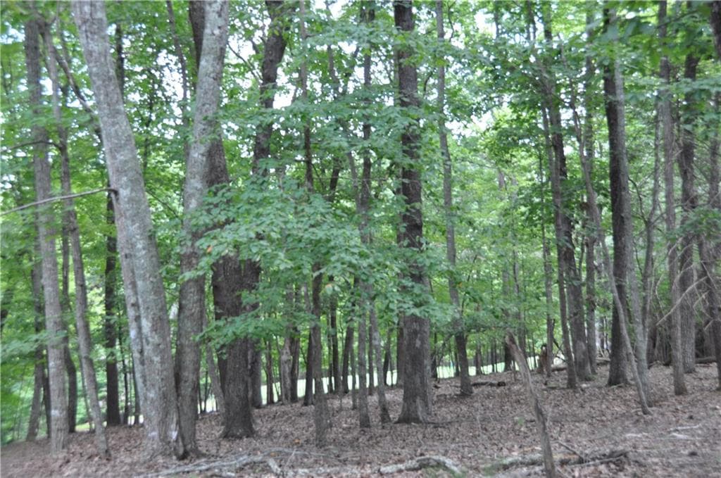 single family residence under contract at 2468 Wedgewood Drive, Big Canoe, GA 30143 — photo 3