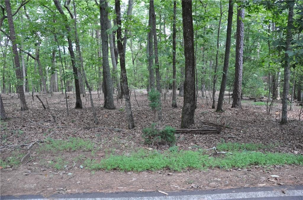 single family residence under contract at 2468 Wedgewood Drive, Big Canoe, GA 30143 — photo 4