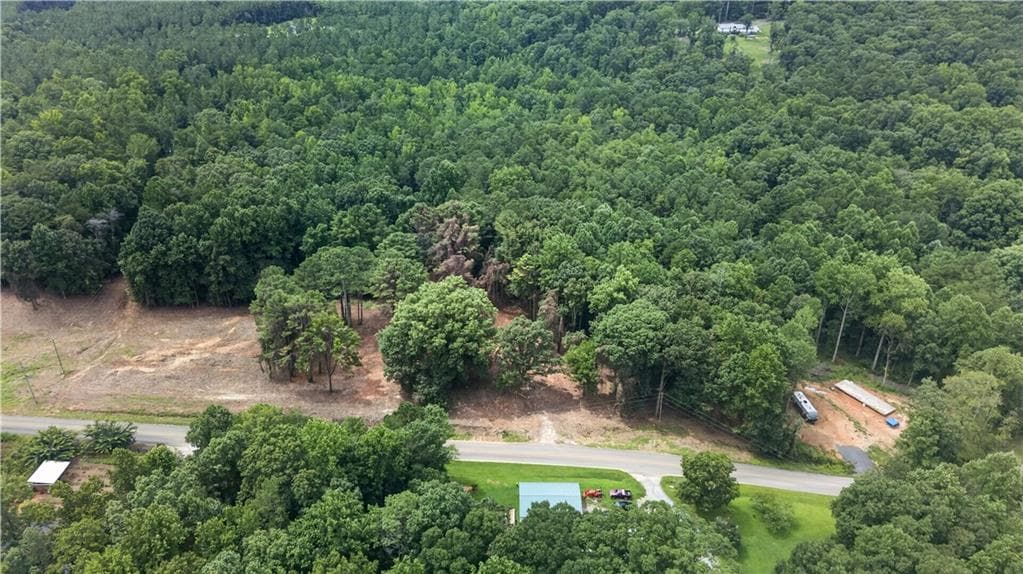 unimproved land for sale at 730 Lower Dowda Mill Road, Jasper, GA 30143 — photo 3