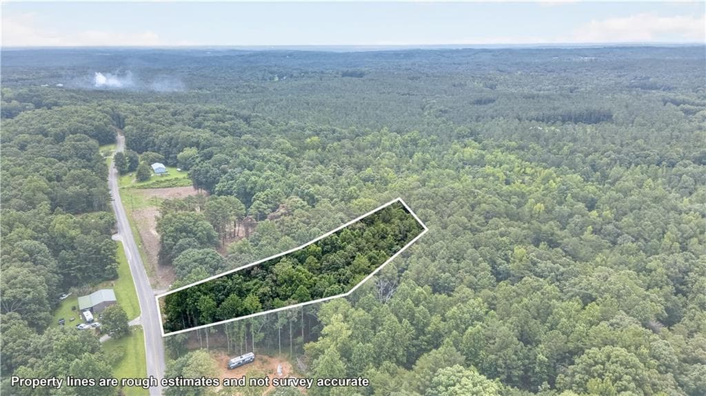 unimproved land for sale at 730 Lower Dowda Mill Road, Jasper, GA 30143 — photo 6