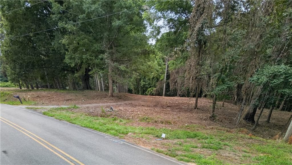 unimproved land for sale at 730 Lower Dowda Mill Road, Jasper, GA 30143 — photo 7
