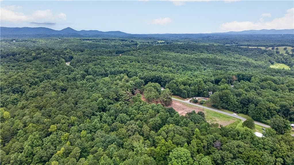unimproved land for sale at 730 Lower Dowda Mill Road, Jasper, GA 30143 — photo 9