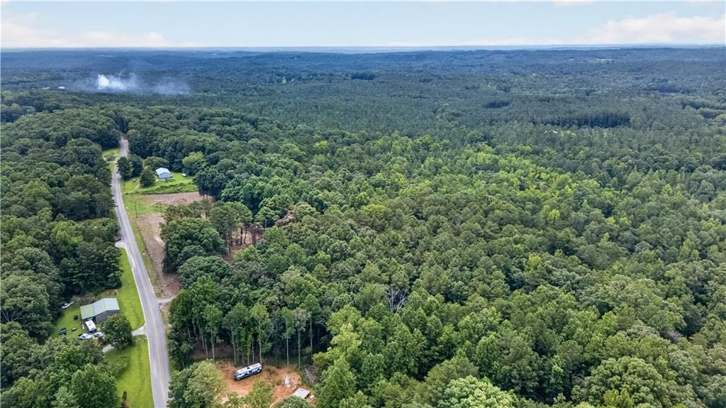 unimproved land for sale at 730 Lower Dowda Mill Road, Jasper, GA 30143 — photo 10