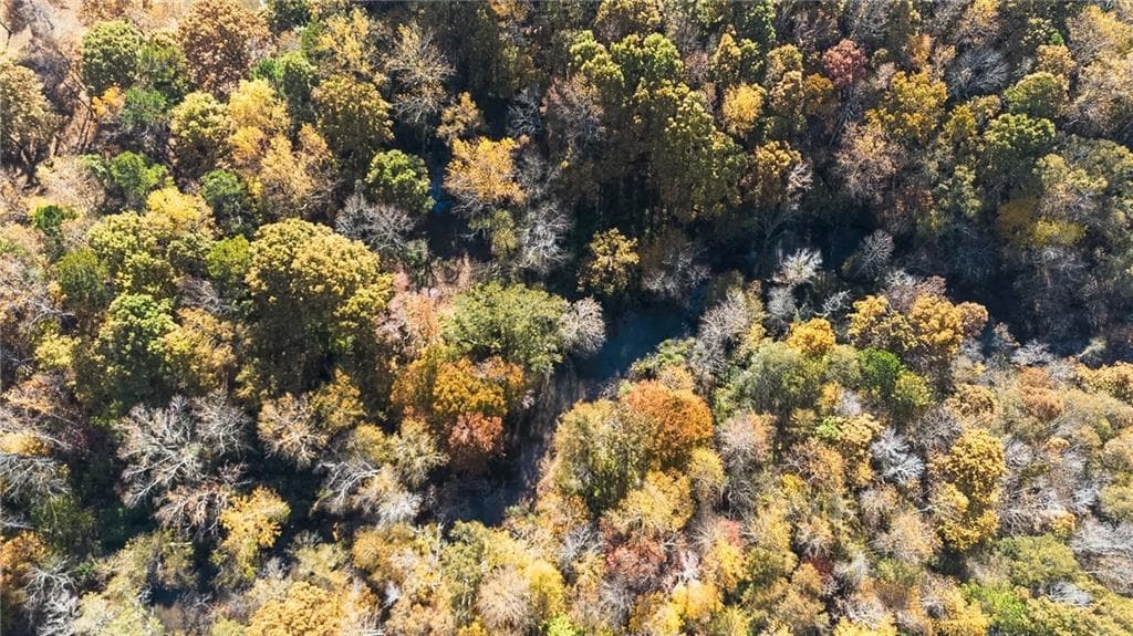 unimproved land for sale at 0 Tanners Bridge Circle, Bethlehem, GA 30620 — photo 3