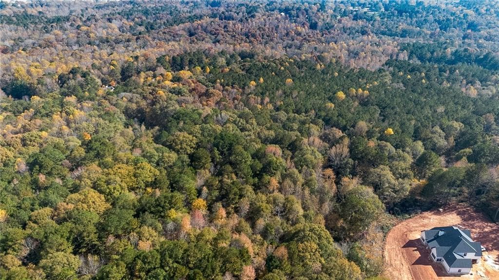 unimproved land for sale at 0 Tanners Bridge Circle, Bethlehem, GA 30620 — photo 8