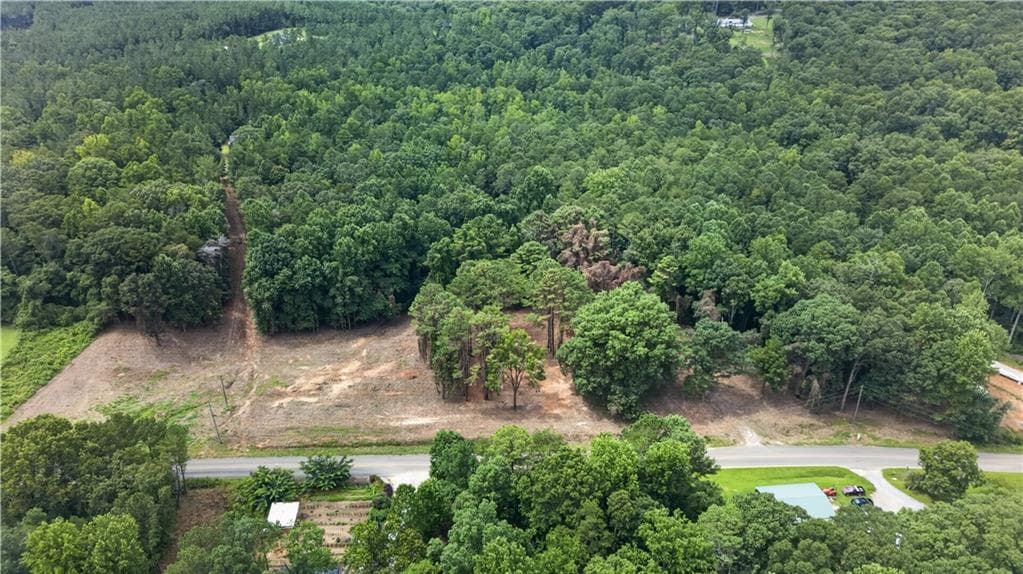 unimproved land for sale at 758 Lower Dowda Mill Road, Jasper, GA 30143 — photo 3