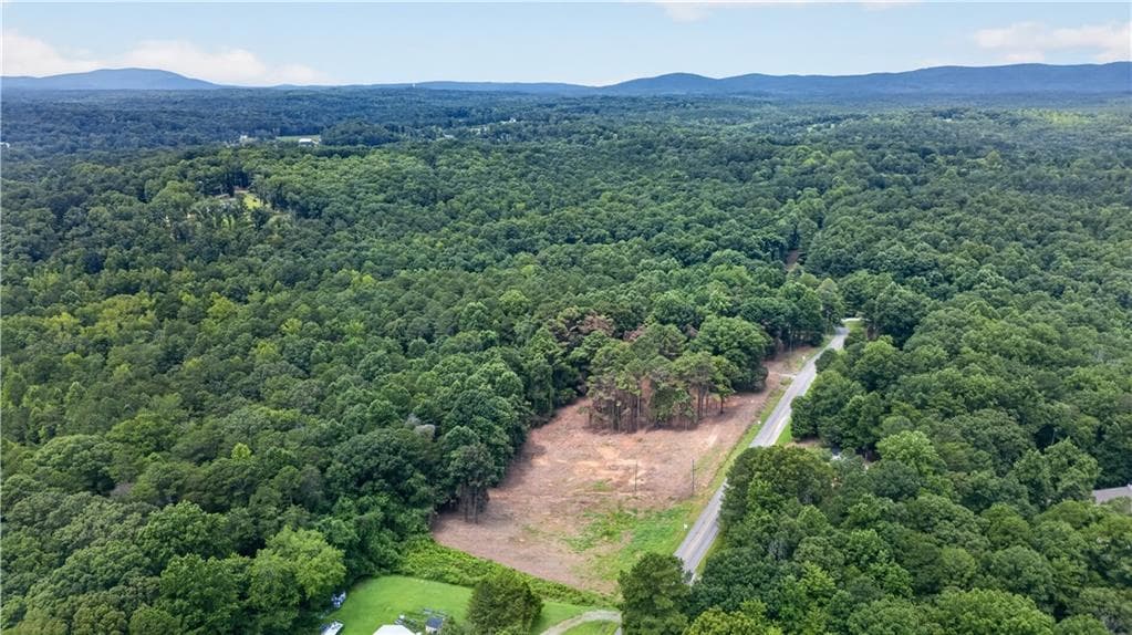unimproved land for sale at 758 Lower Dowda Mill Road, Jasper, GA 30143 — photo 4