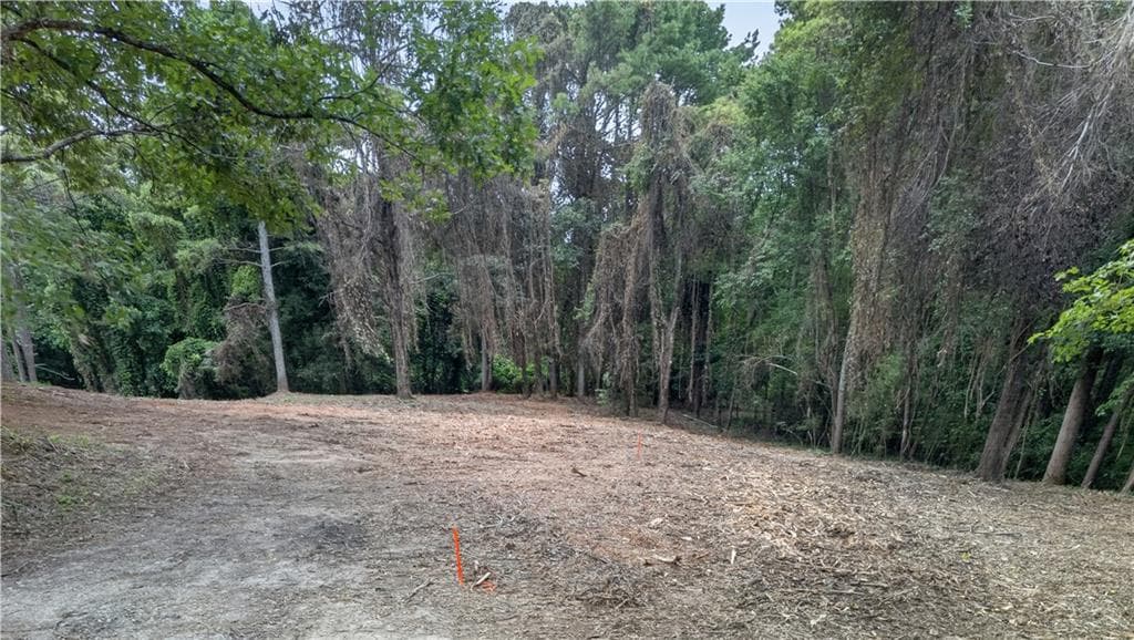 unimproved land for sale at 758 Lower Dowda Mill Road, Jasper, GA 30143 — photo 5