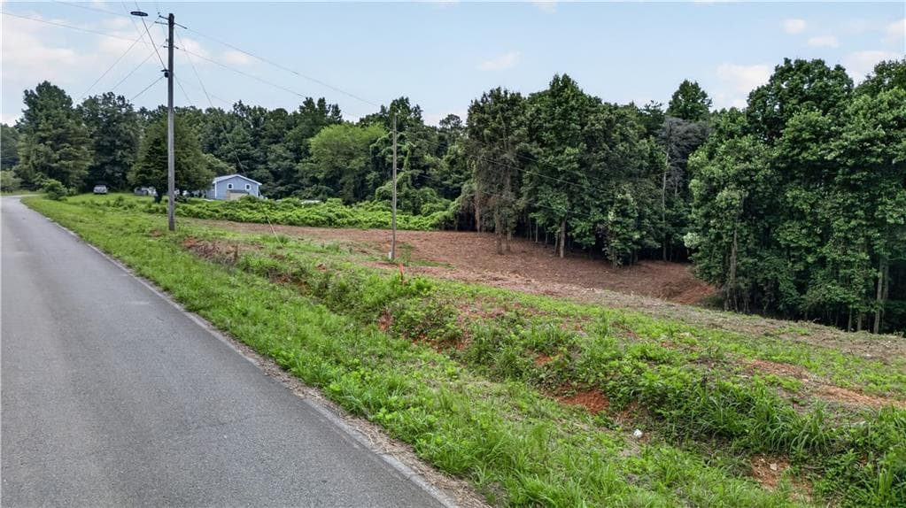 unimproved land for sale at 758 Lower Dowda Mill Road, Jasper, GA 30143 — photo 6