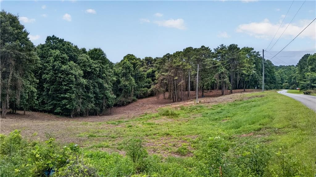 unimproved land for sale at 758 Lower Dowda Mill Road, Jasper, GA 30143 — photo 7
