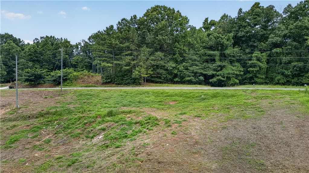 unimproved land for sale at 758 Lower Dowda Mill Road, Jasper, GA 30143 — photo 8