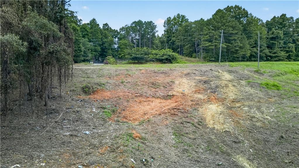 unimproved land for sale at 758 Lower Dowda Mill Road, Jasper, GA 30143 — photo 9