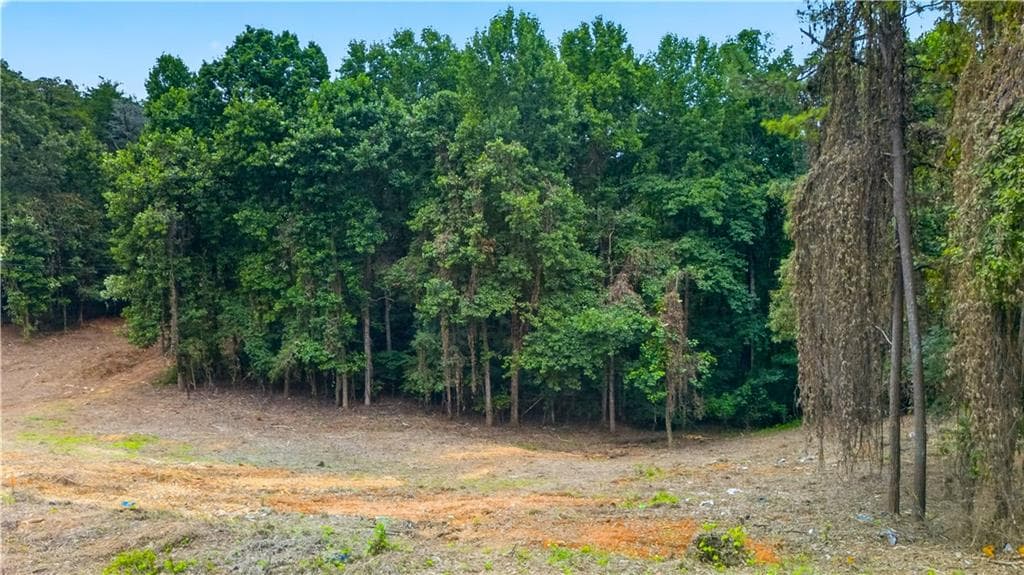 unimproved land for sale at 758 Lower Dowda Mill Road, Jasper, GA 30143 — photo 10