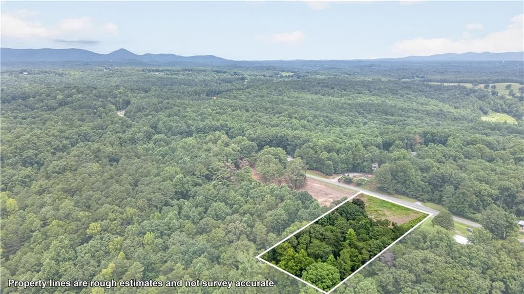 unimproved land for sale at 792 Lower Dowda Mill Road, Jasper, GA 30143 — photo 8