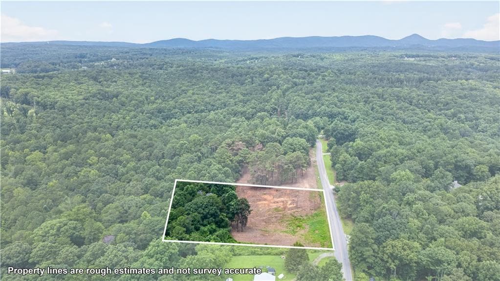 unimproved land for sale at 792 Lower Dowda Mill Road, Jasper, GA 30143 — photo 9