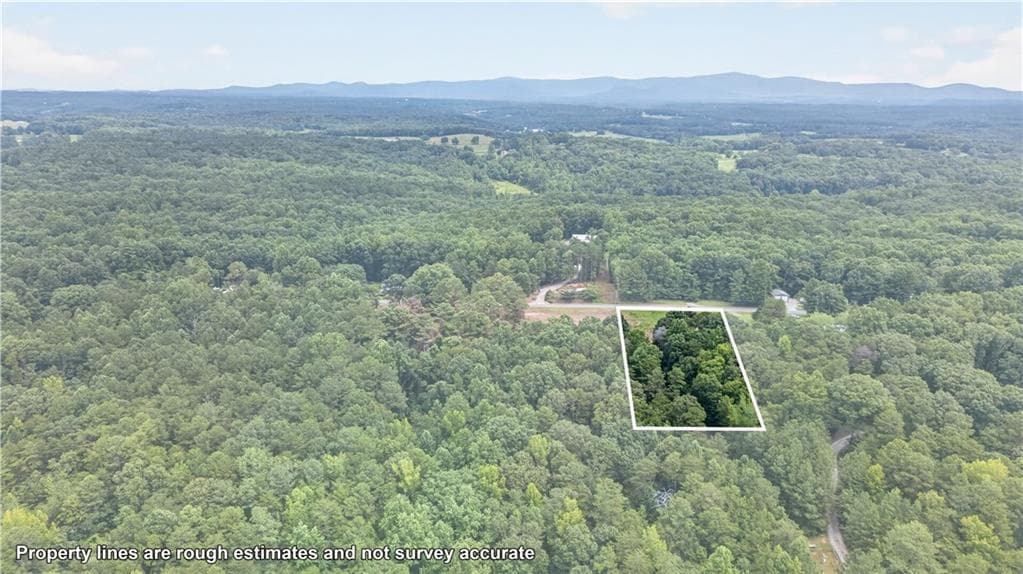 unimproved land for sale at 792 Lower Dowda Mill Road, Jasper, GA 30143 — photo 10