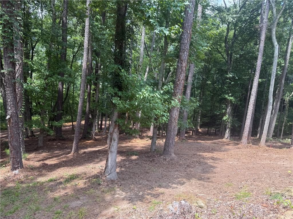 single family residence for sale at 96 Battle Knoll, Dallas, GA 30157 — photo 2