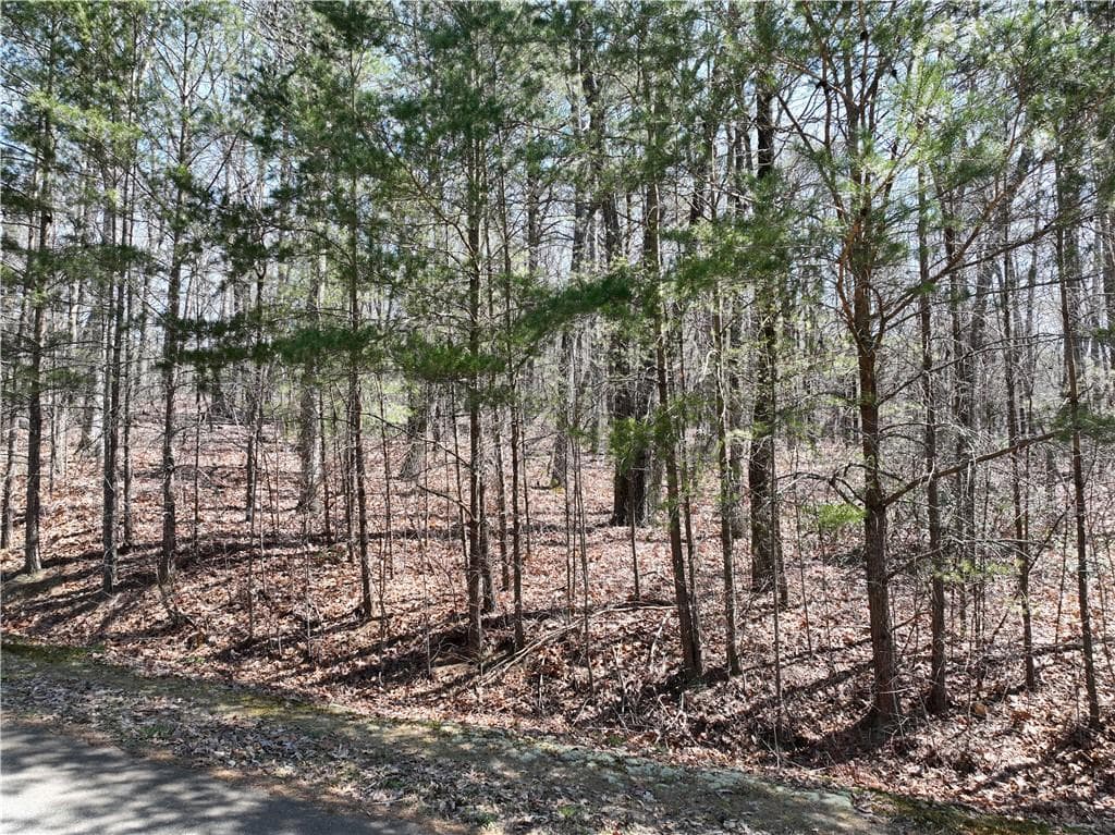 single family residence for sale at 58 Saint Andrews Way, Ellijay, GA 30536 — photo 9