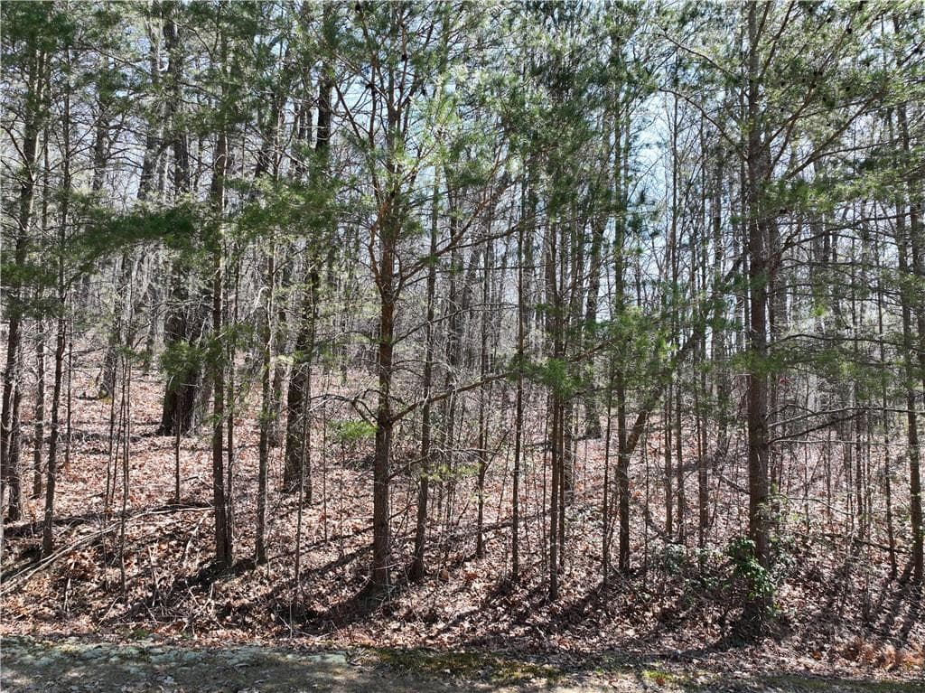 single family residence for sale at 58 Saint Andrews Way, Ellijay, GA 30536 — photo 10