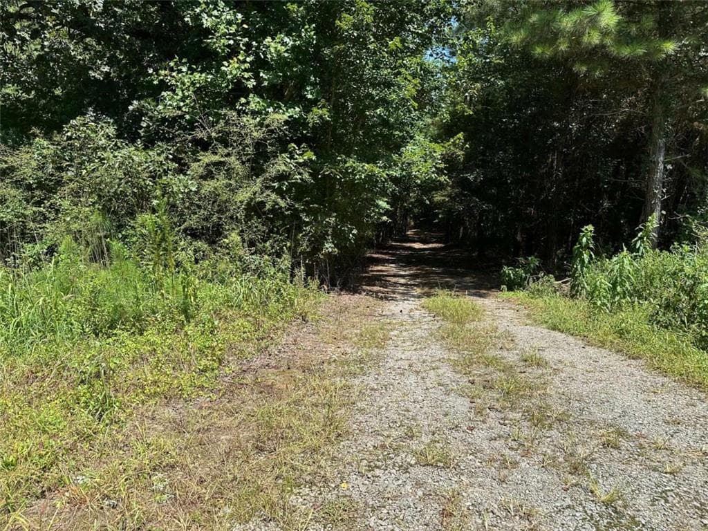 other for sale at 305 Wildcat Road, Buchanan, GA 30113