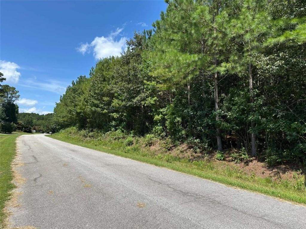 other for sale at 305 Wildcat Road, Buchanan, GA 30113 — photo 3