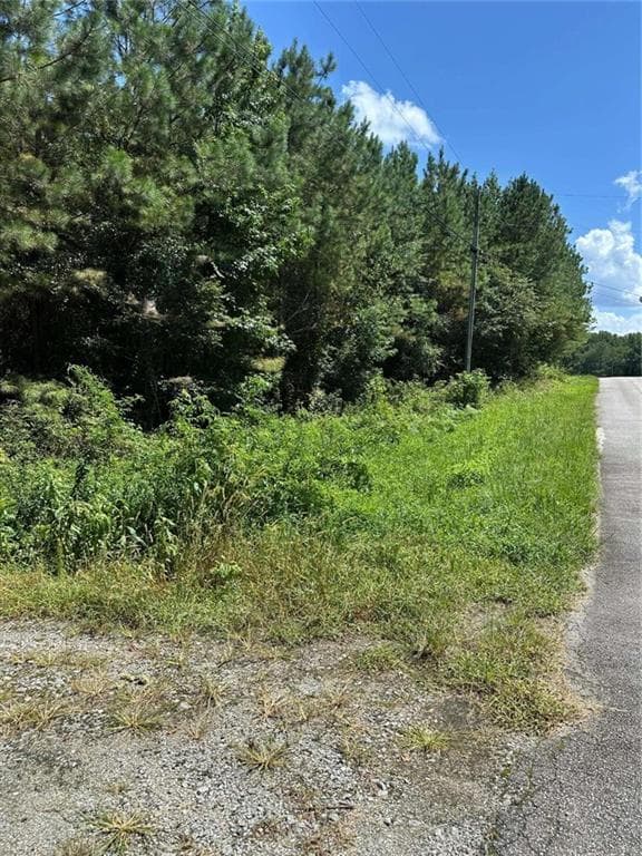 other for sale at 305 Wildcat Road, Buchanan, GA 30113 — photo 4