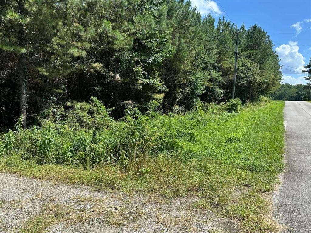 other for sale at 305 Wildcat Road, Buchanan, GA 30113 — photo 5